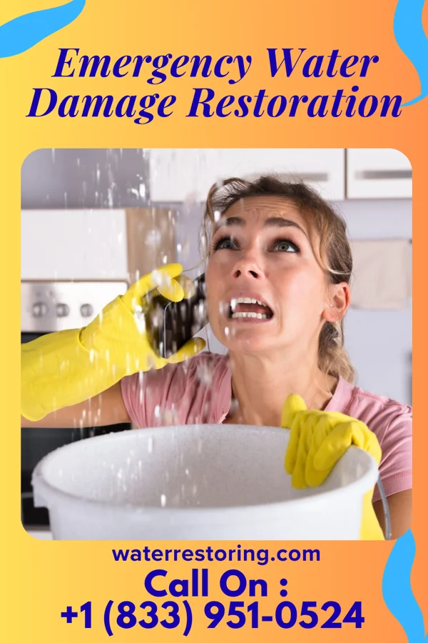 Emergency Water Damage Restoration in Yankeetown, FL
